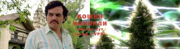ГАЛЛЮЦИНОГЕННЫЕ ГРИБЫ Пестово