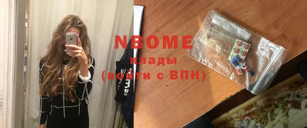 винт Пересвет