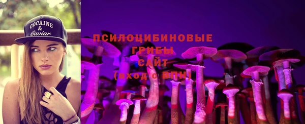 винт Пересвет