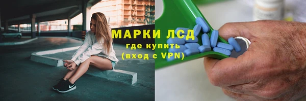 сатива Переславль-Залесский