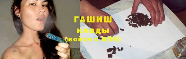 винт Пересвет