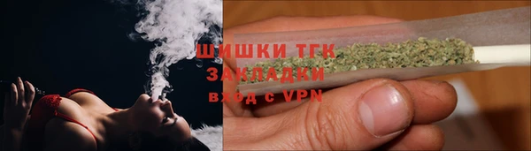ГАЛЛЮЦИНОГЕННЫЕ ГРИБЫ Пестово
