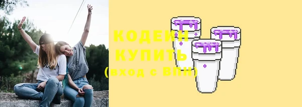 ГАЛЛЮЦИНОГЕННЫЕ ГРИБЫ Пестово