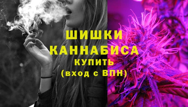 сатива Переславль-Залесский