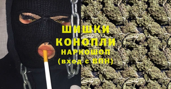 винт Пересвет