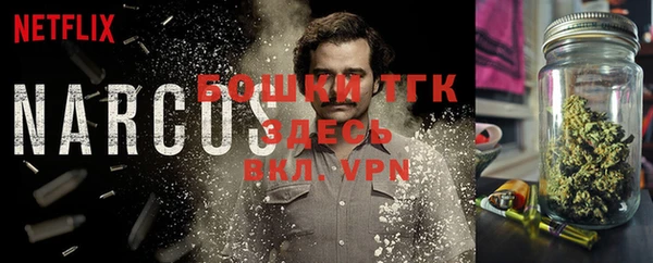 винт Пересвет