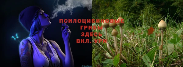ГАЛЛЮЦИНОГЕННЫЕ ГРИБЫ Пестово