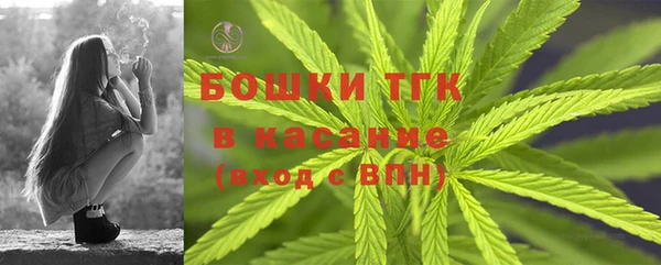 ГАЛЛЮЦИНОГЕННЫЕ ГРИБЫ Пестово