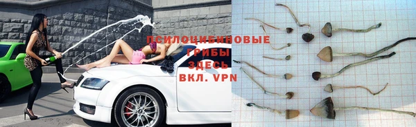 ГАЛЛЮЦИНОГЕННЫЕ ГРИБЫ Пестово